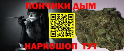 сатива Усть-Джегута