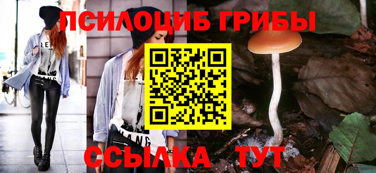 Галлюциногенные грибы GOLDEN TEACHER Нурлат