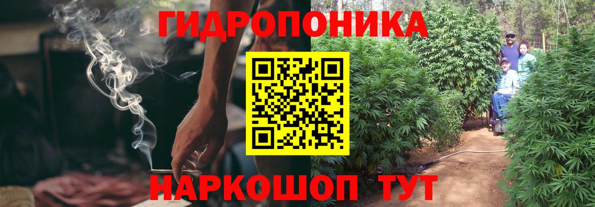 Бошки марихуана тримм  Вход с VPN  Каннабис сатива  Нурлат  МАРИХУАНА Amnesia  Бошки Шишки THC 21% 